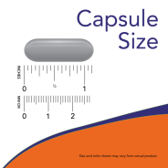 Lecithin 1200 mg 200 Softkapseln
