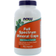 Full Spectrum Minerals Eisen frei 240 Kapseln