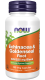 Now Foods, Echinacea & Goldenseal, 100K (exp date 03/2026)